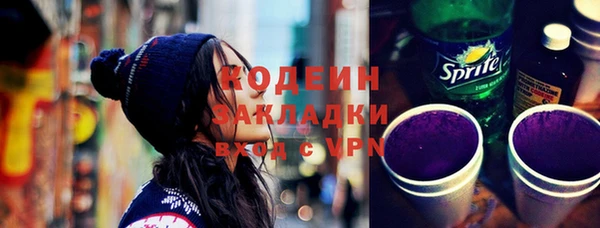 хмурый Бородино