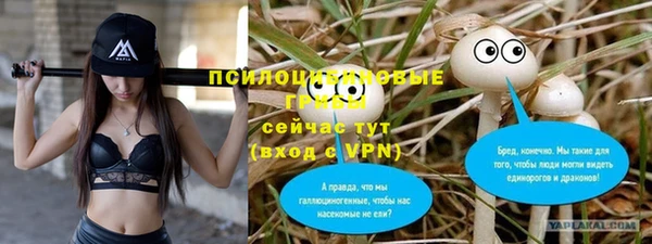 спиды Балабаново